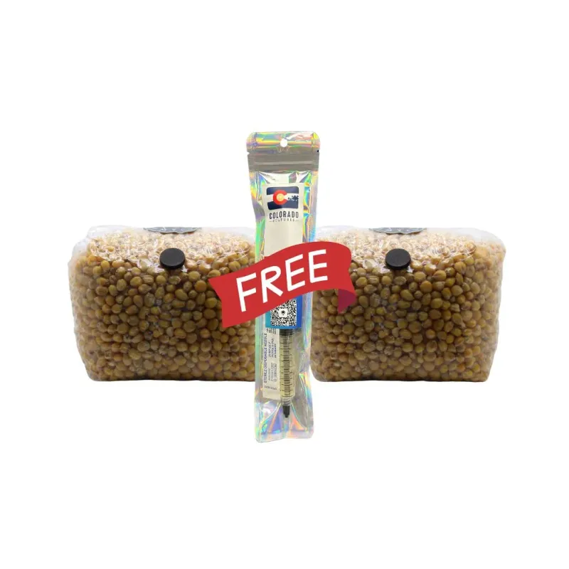 2 pack free house lc 3lb pre sterilized organic popcorn grain spawn - hero image
