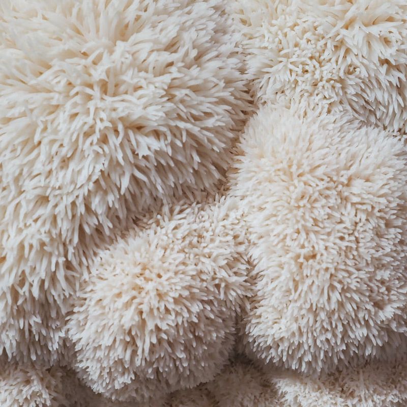 Organic Lion's Mane Mushroom Grow Kit - Image 3