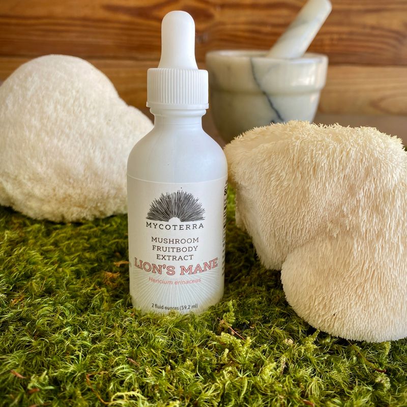 Organic Lion’s Mane Mushroom Tincture 2oz. - Image 1