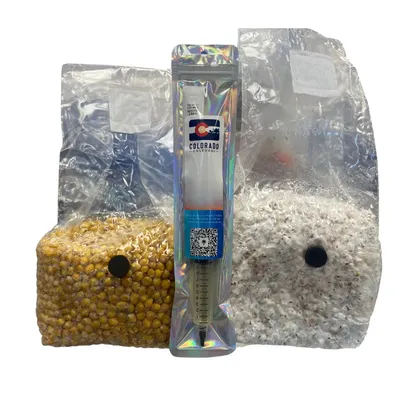 3lb pre sterilized organic popcorn grain spawn - image 2