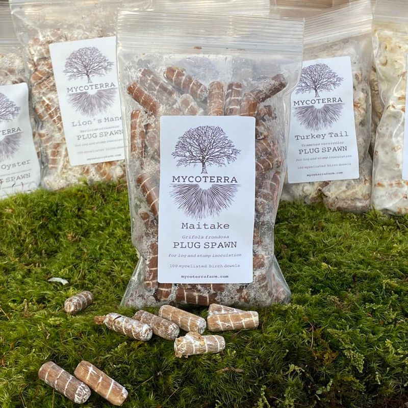 Maitake Mushroom Plug Spawn - Image 1