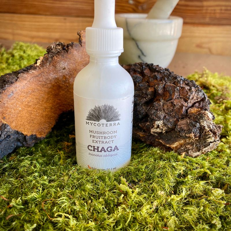 Organic Chaga Mushroom Tincture 2oz. - Image 1