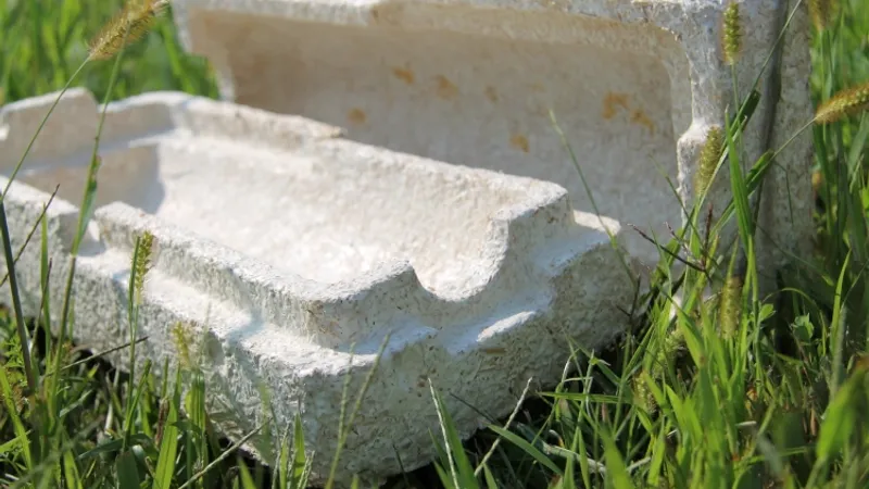 biodegradable mycelium container made from mushrooms