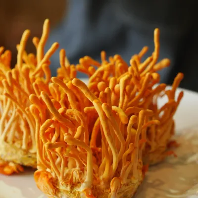 Cordyceps