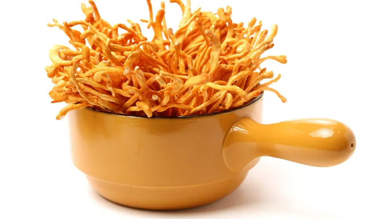 cordyceps functional mushrooms in a pot