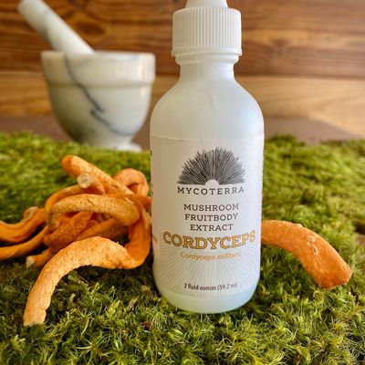 Organic Cordyceps Mushroom Tincture 2oz - Image 1