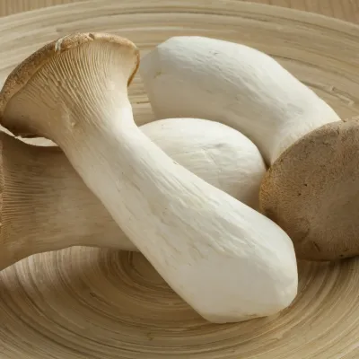 King Oyster Mushroom