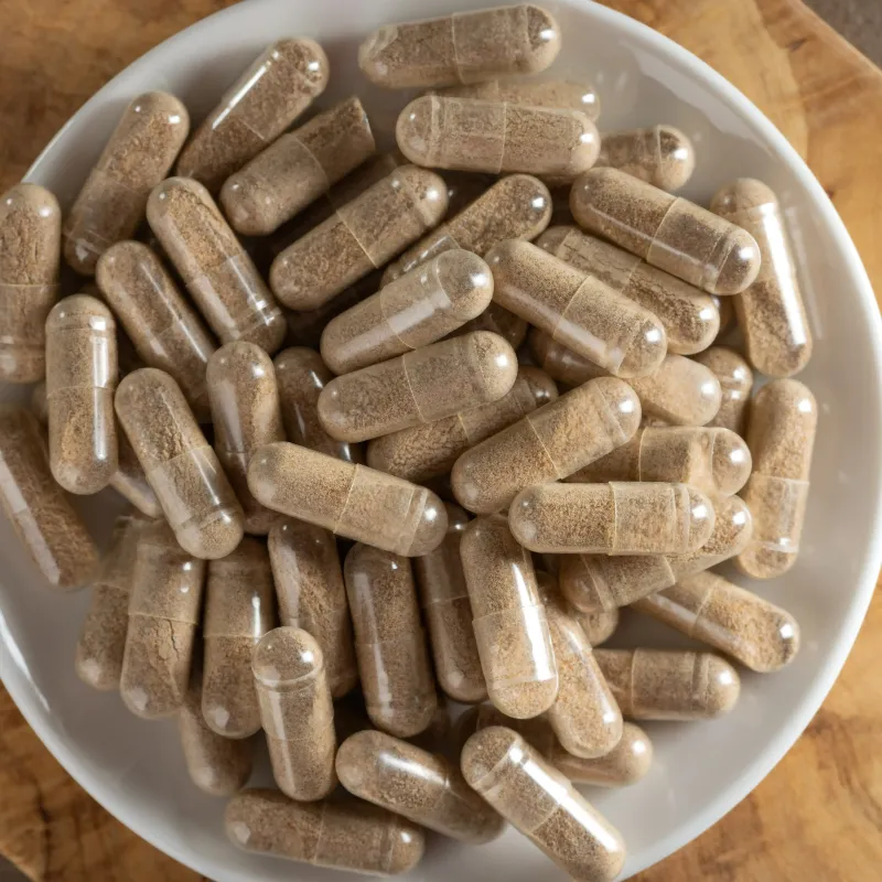 Mushroom Supplement
