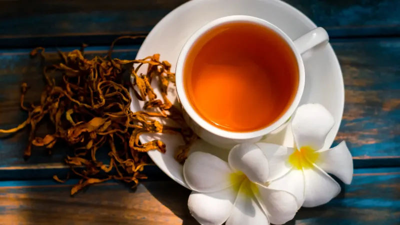 Mushroom Tea5 new