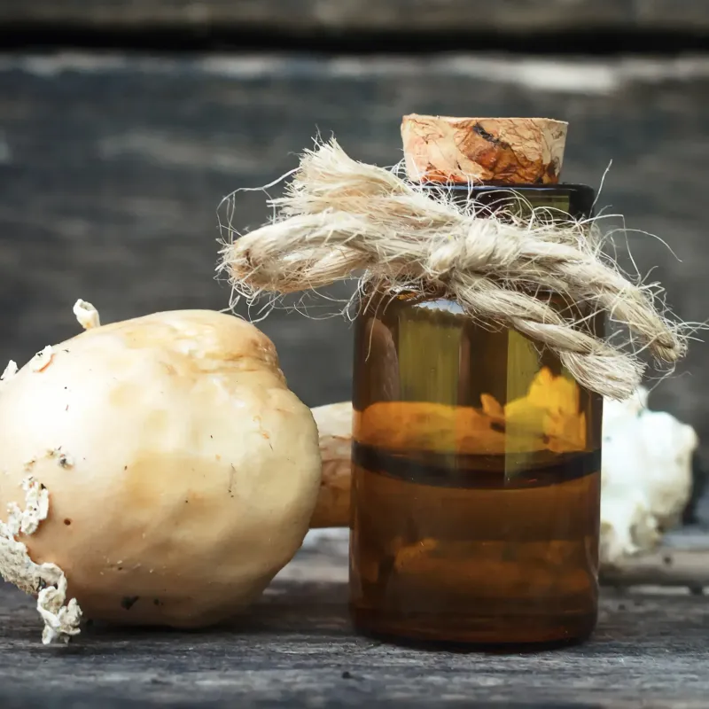 Mushroom Tincture