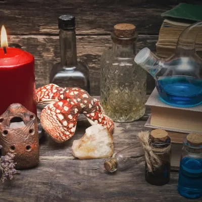 Mushroom_Powder