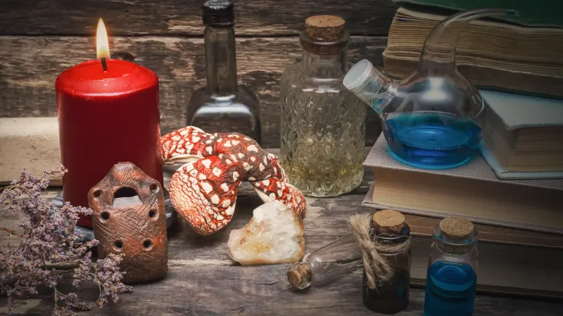 Mushroom_Powder