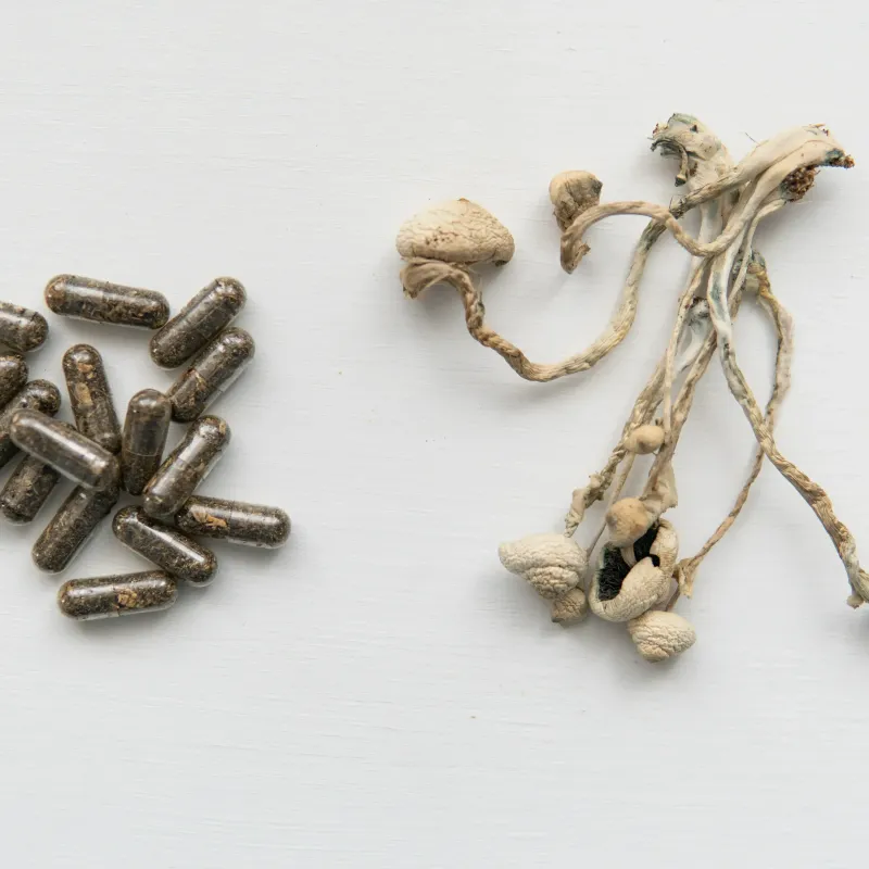 Mushrooms