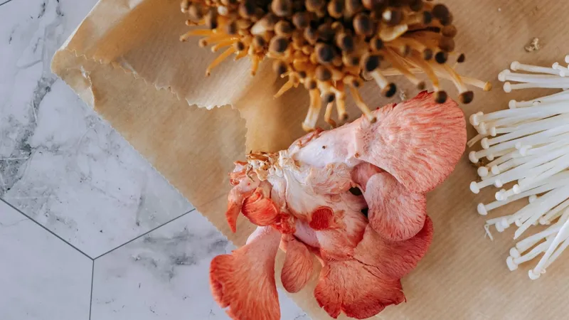 Pink oyster nameko and enoki mushroom