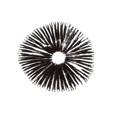 Spore Print