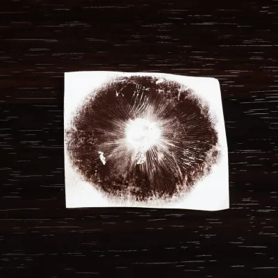 [object Object]