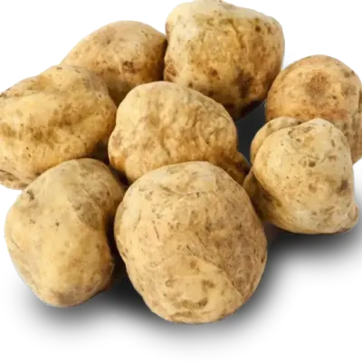 Tuber Magnatum Truffle Mushroom