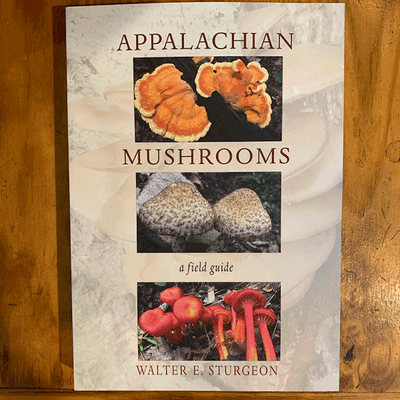 Appalachian Mushrooms - A Field Guide - Product Image
