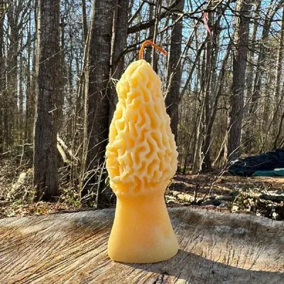 Beeswax Candle - Product Image