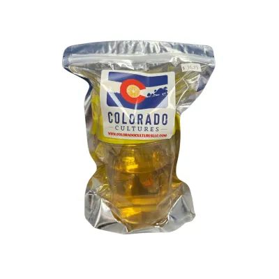 blank liquid culture jar with magnetic stir rod - hero image