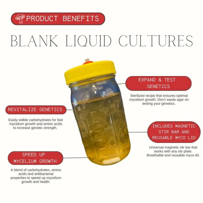 blank liquid culture jar with magnetic stir rod - image 3