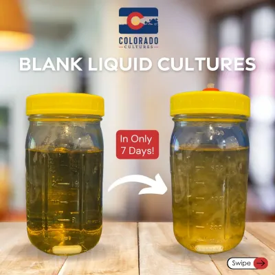 blank liquid culture jar with magnetic stir rod - image 4