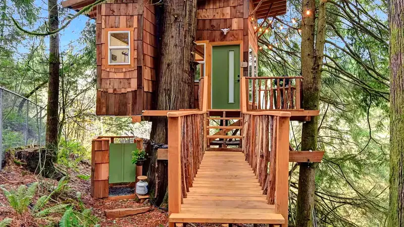 Cedar Falls Treehouse — Tim Leavitt and Erica’s mycology-immersion Airbnb in North Bend, Washington