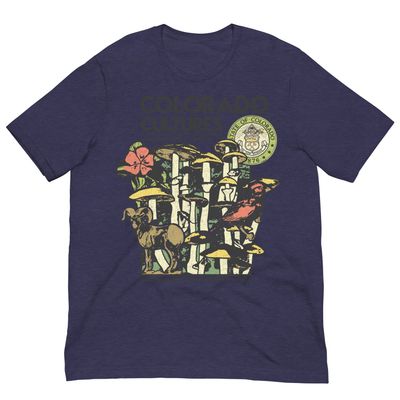 Colorado Cultures State Pride Bright T-Shirts — image 3