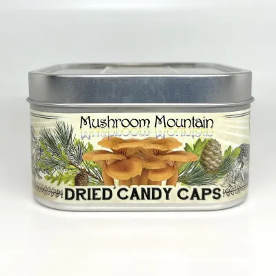 DRIED CANDYCAP MUSHROOMS - Product Image