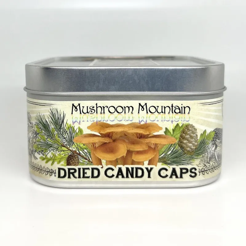 DRIED CANDYCAP MUSHROOMS - Product Image