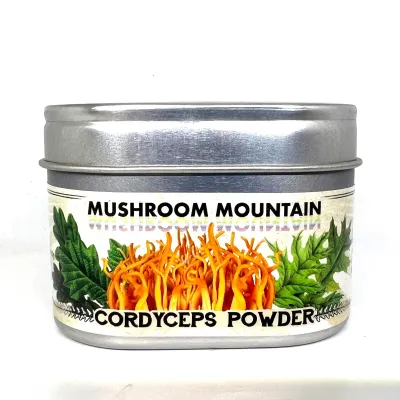 DRIED CORDYCEPS MUSHROOMS - Product Image