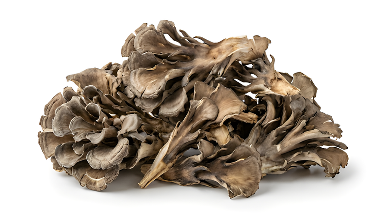 maitake mushroom — catalog-raw mushroom-only photography