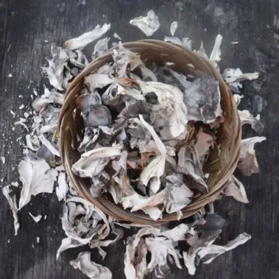 DRIED MAITAKE MUSHROOMS - Image 3