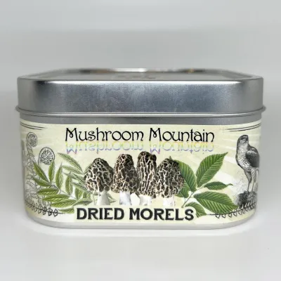DRIED MOREL MUSHROOMS - Product Image