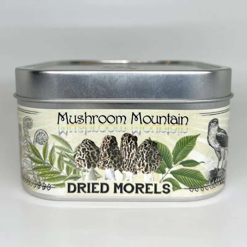 DRIED MOREL MUSHROOMS - Product Image