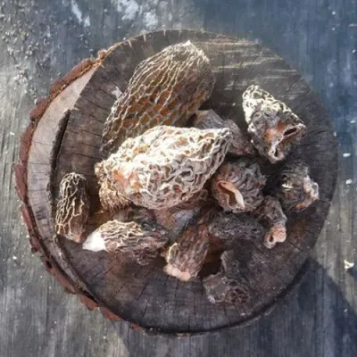 DRIED MOREL MUSHROOMS - Image 4