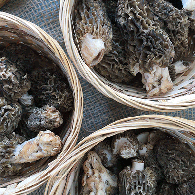DRIED MOREL MUSHROOMS - Image 6