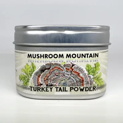 DRIED TURKEY TAIL POWDER - Product Image