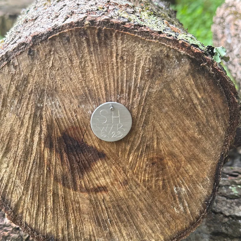 Durable Mushroom Log Tags - Image 2