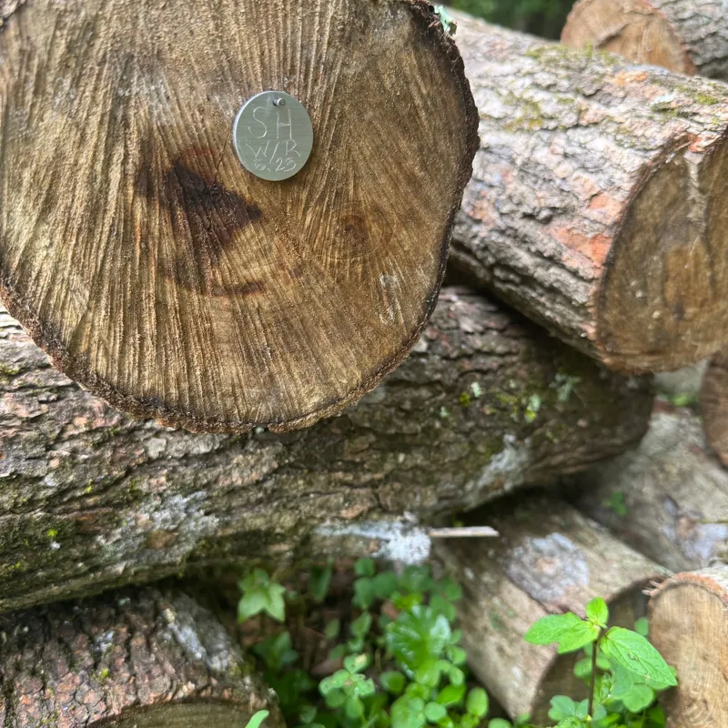 Durable Mushroom Log Tags - Image 4