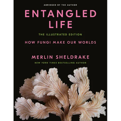 Entangled Life: The Illustrated Edition: How Fungi Make Our Worlds - Hardcover - Product Image