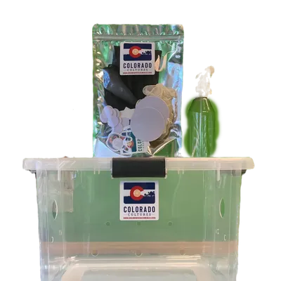 full flush bin only - hero image