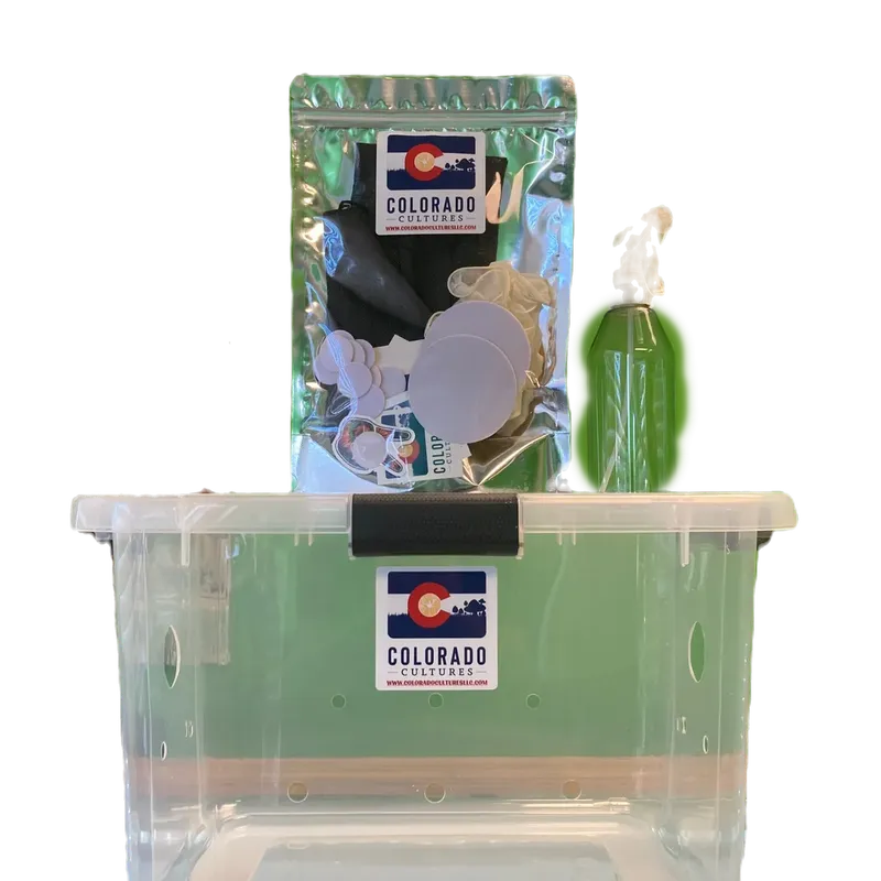full flush bin only - hero image