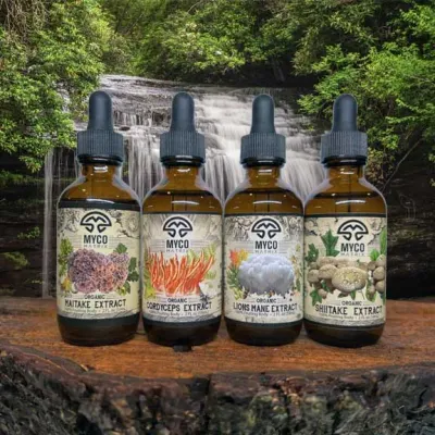 Fungi Force - Product Image