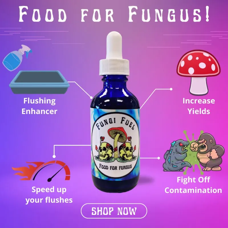 fungi fuel 2oz bottle with dropper - image 2