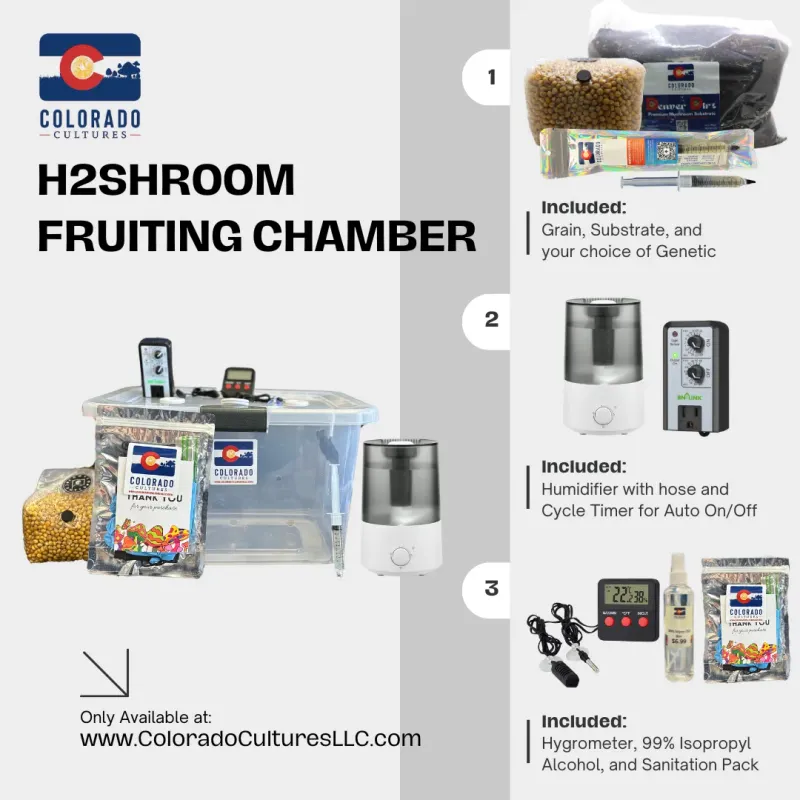 h2shroom fruiting chamber - image 2