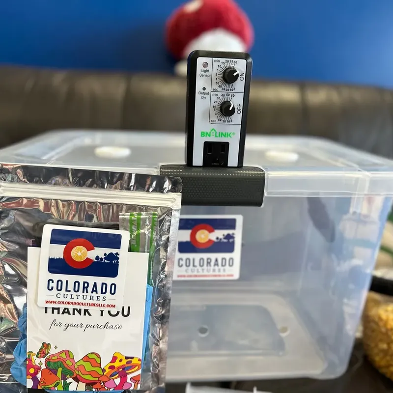 h2shroom fruiting chamber - image 4