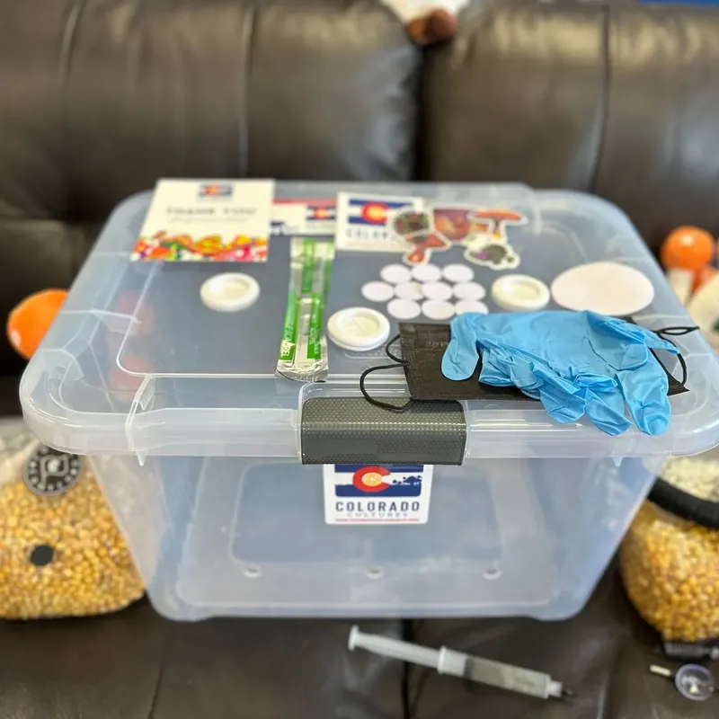 h2shroom fruiting chamber - image 5