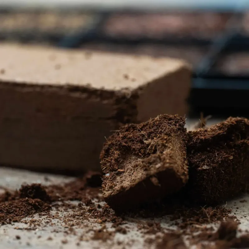 high quality coco coir brick 600g - image 3