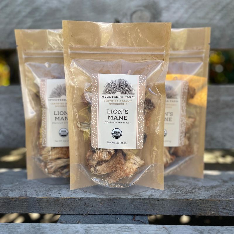 Certified Organic Dried Lions Mane Mushrooms - Image 1